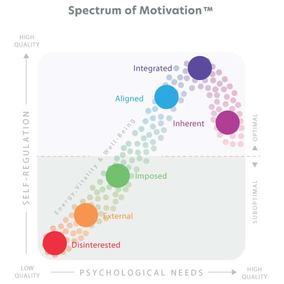 Landing page Mastering Motivation